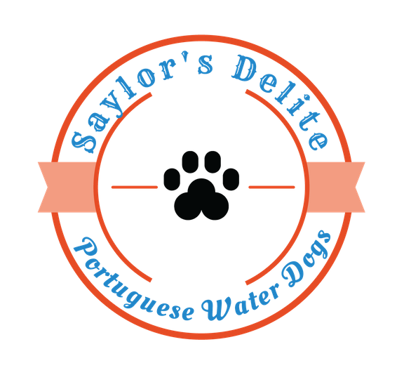 Saylor's Delite Portuguese Water Dogs